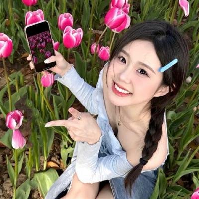 休战协定